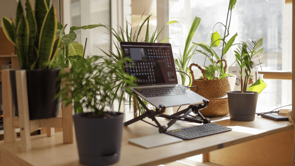 Equipamentos para home office o que você realmente precisa